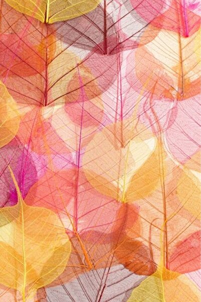 OEM Διακοσμητική επιτοίχια ζωγραφική με ξύλινο πλαίσιο, 33cm x 24cm, εικόνα 2263