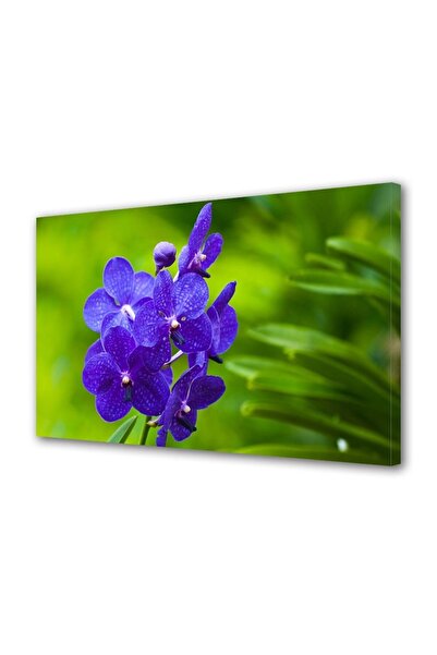 OEM Tablou decorativ, de perete, cu rama din lemn, 33cm x 24cm,cu flori1462