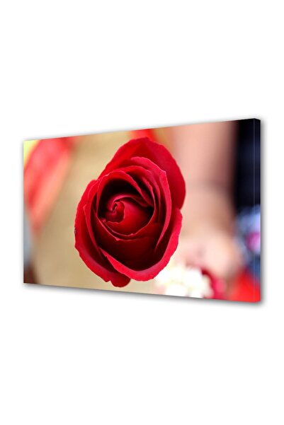 OEM Tablou decorativ, de perete, cu rama din lemn, 33cm x 24cm,cu flori1583