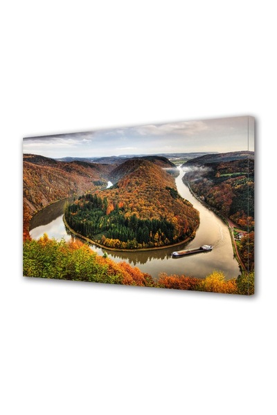 OEM Tablou decorativ, de perete, cu rama din lemn, 33cm x 24cm,cu flori1752
