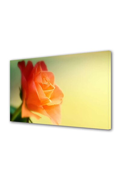 OEM Tablou decorativ, de perete, cu rama din lemn, 33cm x 24cm,cu flori1459