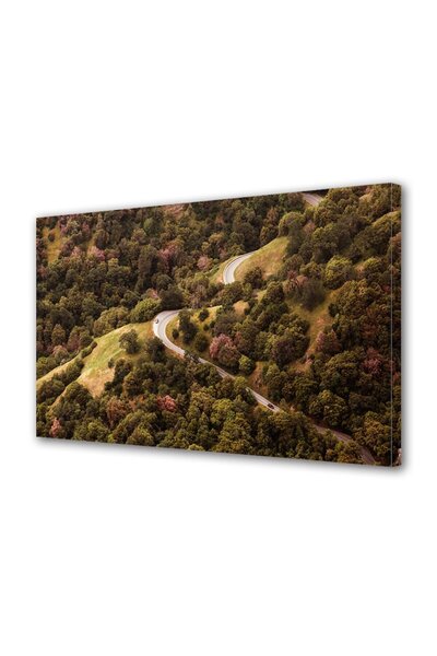 OEM Tablou decorativ, de perete, cu rama din lemn, 33cm x 24cm,cu flori2213