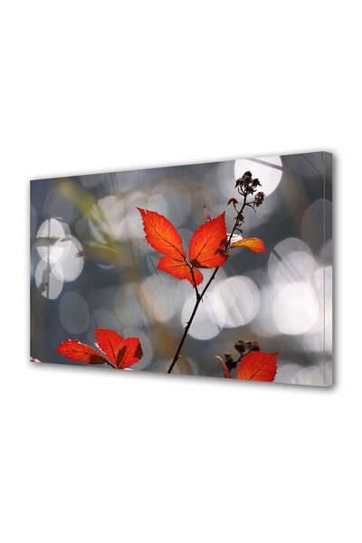 OEM Tablou decorativ, de perete, cu rama din lemn, 33cm x 24cm,cu flori2109