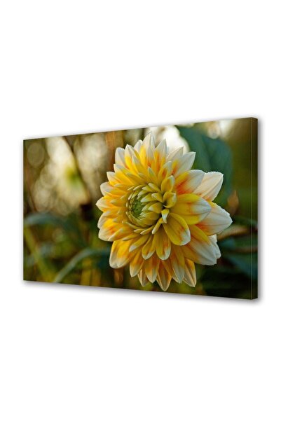 OEM Tablou decorativ, de perete, cu rama din lemn, 33cm x 24cm,cu flori1560