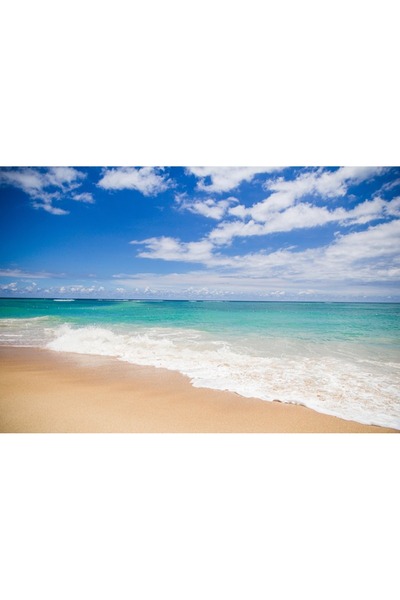 OEM Tablou decorativ, de perete, cu rama din lemn, 33cm x 24cm, cu flori2372