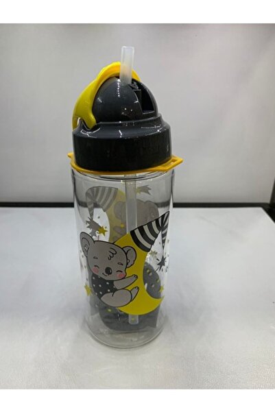 Gıpta Tritan Patterned Water Bottle with Straw 500 Cc 3