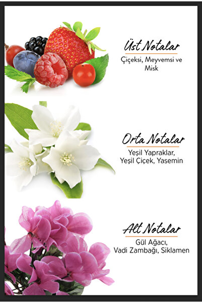 Privacy Women Addiction Edt Kadın Parfüm 50 ml & Emotion Romance Kadın Deodorant 3x150 ml