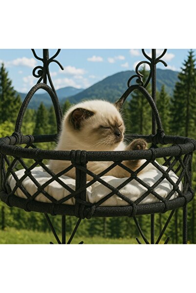 Teknor Cam Güzeli Kedi Köpek Yatağı