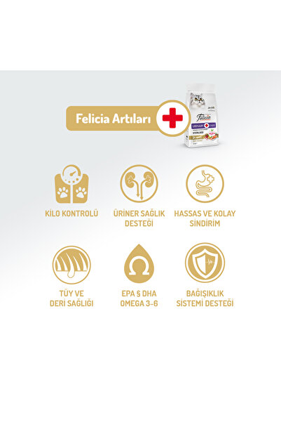 Felicia 2 Kg Kolajenli Somonlu Az Tahıllı Kısırlaştırılmış Kedi Maması