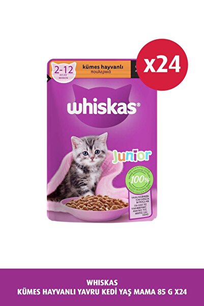 Whiskas Yavru Kümes Hayvanlı Poşet Kedi Mama 85 gr X 24