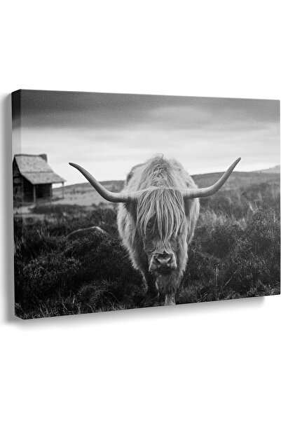 Emoda home Trove ALAYRA Highland Cow Wall Art 30x40 سم إطار أبيض وأسود للديكو...