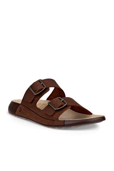 Ecco Cozmo W Potting Soil