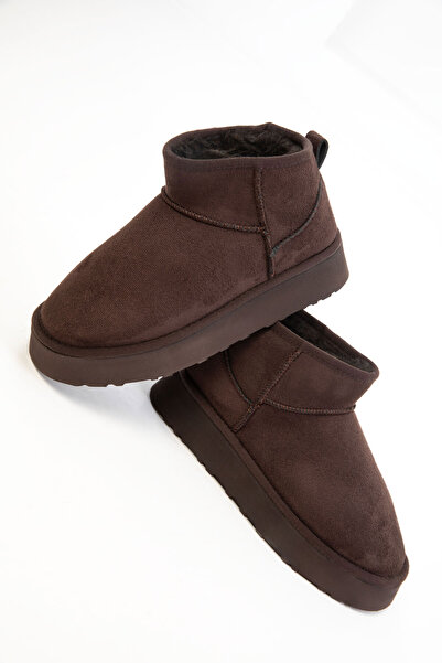 SOHO Brown Suede 19761 Boots & Bootie