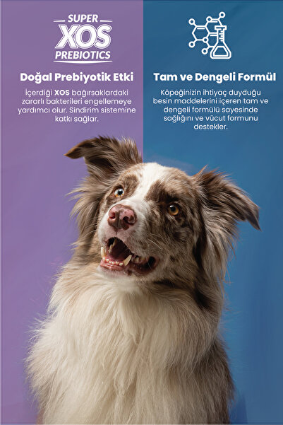 Reflex Plus Orta & Büyük Irklar için Kuzu Etli ve Pirinçli Kısırlaştırılmış Yetişkin Köpek Maması 15 kg