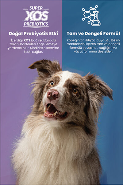 Reflex Plus Plus Kuzu Etli ve Pirinçli Yetişkin Köpek Maması 18 kg