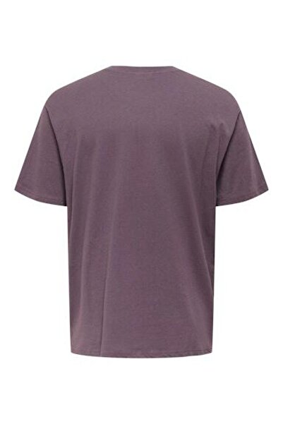 Only & Sons Onsbeane Rhaba Ss Rlx Tee