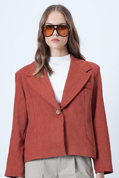 Trend Alaçatı Stili Women's Tile Single Button Lined Velvet Jacket Alc-X14620