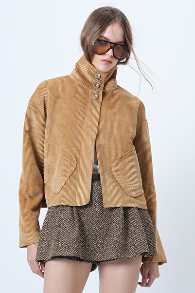 Trend Alaçatı Stili Women's Mustard Stand Collar Velvet Jacket with Pocket Alc-X14618