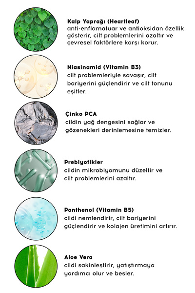 Cream Co. Akne Karşıtı Gözenek Sıkılaştırıcı Arındırıcı Ferahlatıcı Yağ Dengeleyici Gündüz Gece Seti