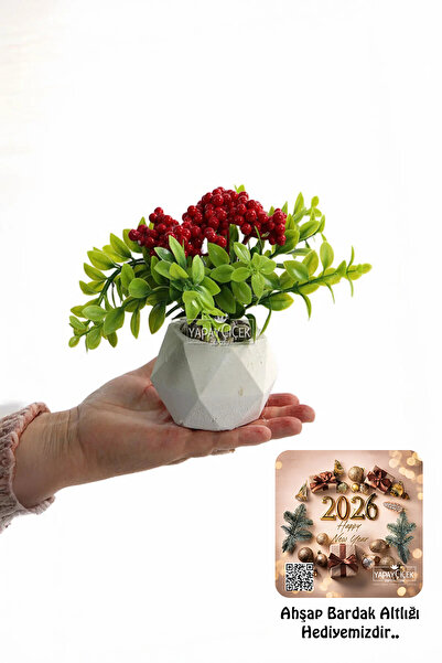 Yapay Çiçek Deposu Beton Saksıda Yapay Kokina Mini Yeni Yıl Masa Dekoru