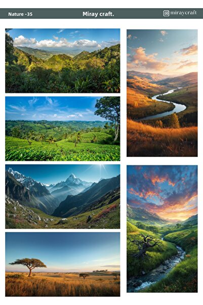 MirayDesign 1 foaie de autocolante cu tematică naturală de 12*17 cm pentru al...