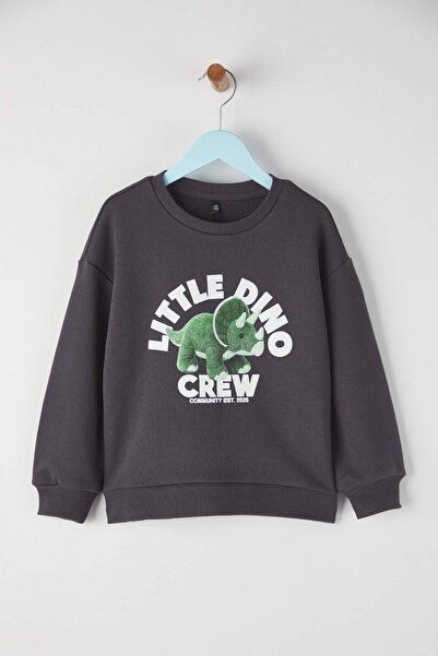 TRENDYOLKIDS Anthracite Boy's Cotton Printed Oversize Knitted Sweatshirt Tkdaw26Sw00040