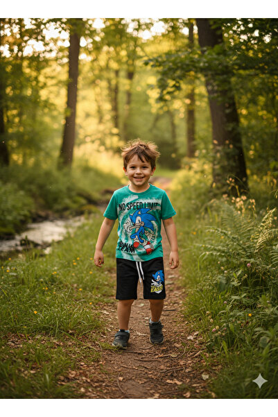 Birdirbir Boy's Shorts Suit with Sonic