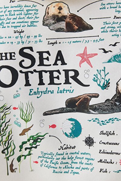 Trendiz Unisex Sea Otter Sweatshirt White