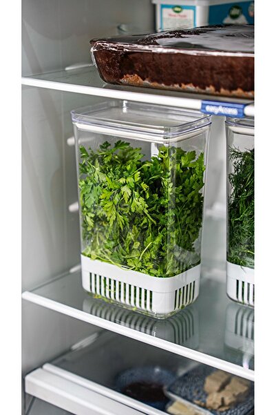 Dia Greenery Storage Container Vegetable Storage Container & Refrigerator Freshener Box 2900 ml