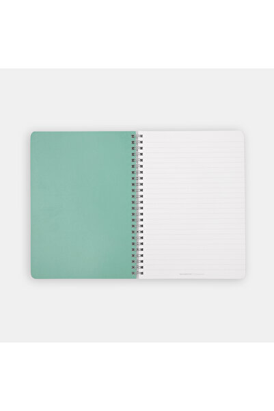 PK Design Notebook Notebooks: Too Serious