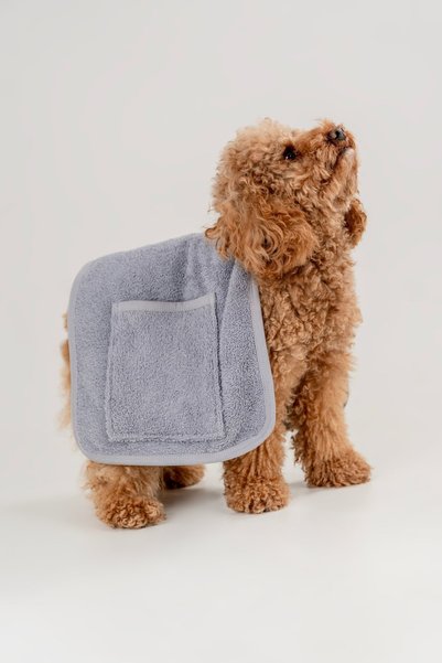 Generic Brand Dog Towel Gray Color