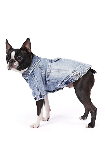 fouramour سترة جينز خارجية للكلاب موديل 'روديو'