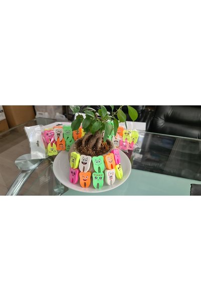 dentalfırsat Tooth Shaped Eraser (Pack of 10) (Large Size)
