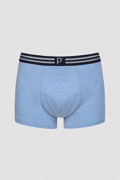 Penti Erkek Mix Tape Çok Renkli 2li Boxer