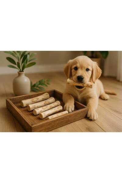 Kaju Kids Zeytin Ağacı Çiğneme Oyuncağı (Kedi ve Köpek)