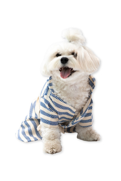 Oli and Lui Blue Striped Peshtemal Dog Bathrobe – Beach & Home Use
