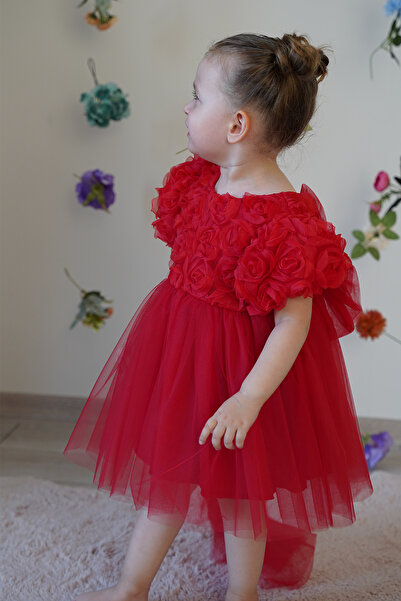 ALYRA Kız Bebek Elbise Kısa Kollu Fiyonklu Güllü Doğum Günü Parti Düğün Özel Gün Abiye Kız Çocuk Elbise