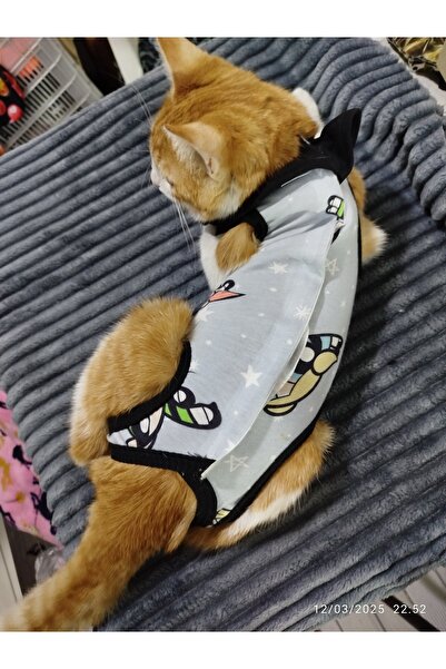 Winnie The Pet Ameliyat sonrası kedi tulumu S-M-L-beden