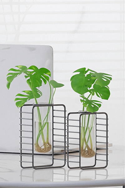Dekula 2 li Set Şık Masaüstü Çiçeklik Mini Çiçek Bahçeniz Minimalist Vazo Ve ...