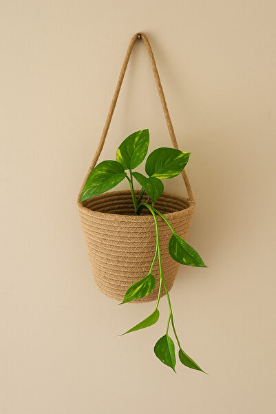 ÖRGÜM Coș Organizator decorativ Organizator pentru flori 15x15 cm PLANTĂ ȘI D...