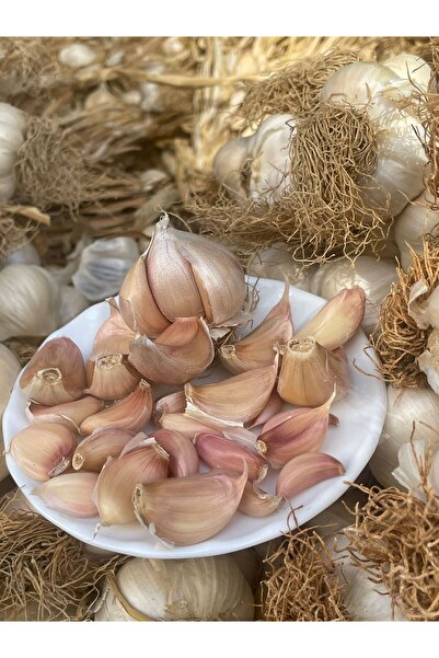 NORTHSTARSTORE Taşköprü Sarımsak Kastamonu 1 kg Küçük Boy