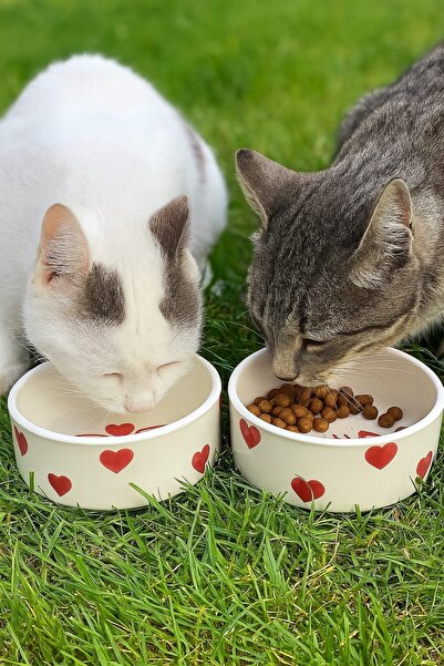 SAMESA HEDİYELİK KEDİ MAMA KABI 2 Adet Yüksek Kalite (12.5 CM, 400 ML) Serami...