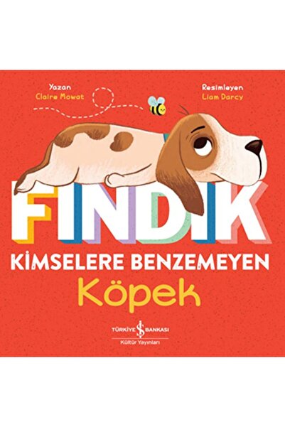 TÜRKİYE İŞ BANKASI KÜLTÜR YAYINLARI Fındık Kimselere Benzemeyen Köpek