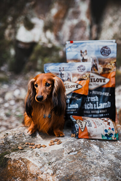 Carnilove Taze Devekuşu & Kuzulu Tahılsız Küçük Irk Yetişkin Köpekler Için Kuru Mama - 1.5kg