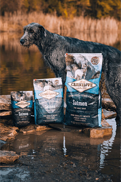 Carnilove Somonlu Tahılsız Yetişkin Köpek Kuru Maması 4 Kg