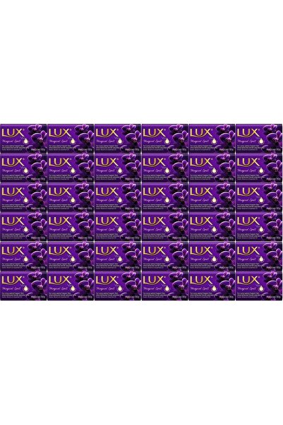 LUX صابون 80 جرام سحر سحري (مجموعة من 36)