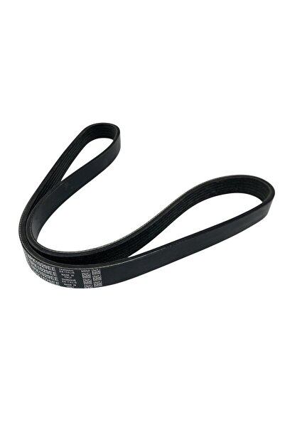 DAYCO KANALLI V KAYIŞI / FORD FOCUS-C-MAX-MONDEO-FİESTA 1,25/1.4/1.6/BENZINLI...