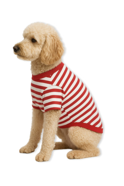 Oli and Lui Red White Striped Dog Tshirt