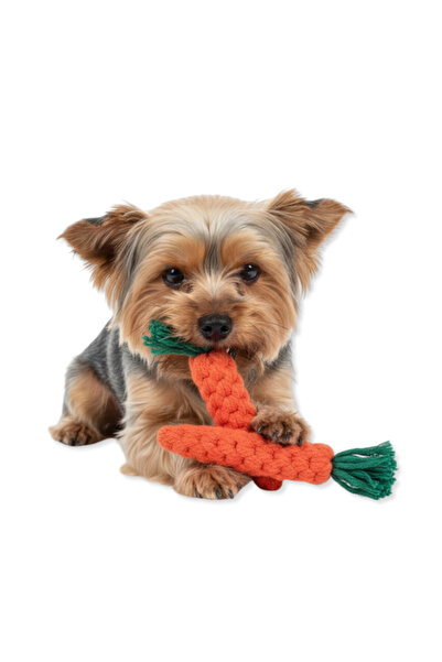 Oli and Lui Köpekler Için Eğlenceli Çiğneme Ipi - Havuç Çılgınlığı! Yeni Köpek Oyuncağı