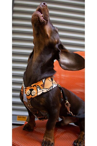 Oli and Lui Köpek Desenli Köpek Göğüs Tasması – Mesh Astar